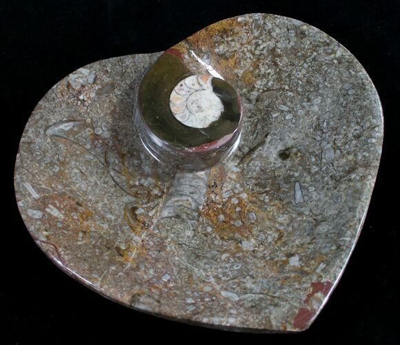 Heart Shaped Fossil Goniatite Dish #8994